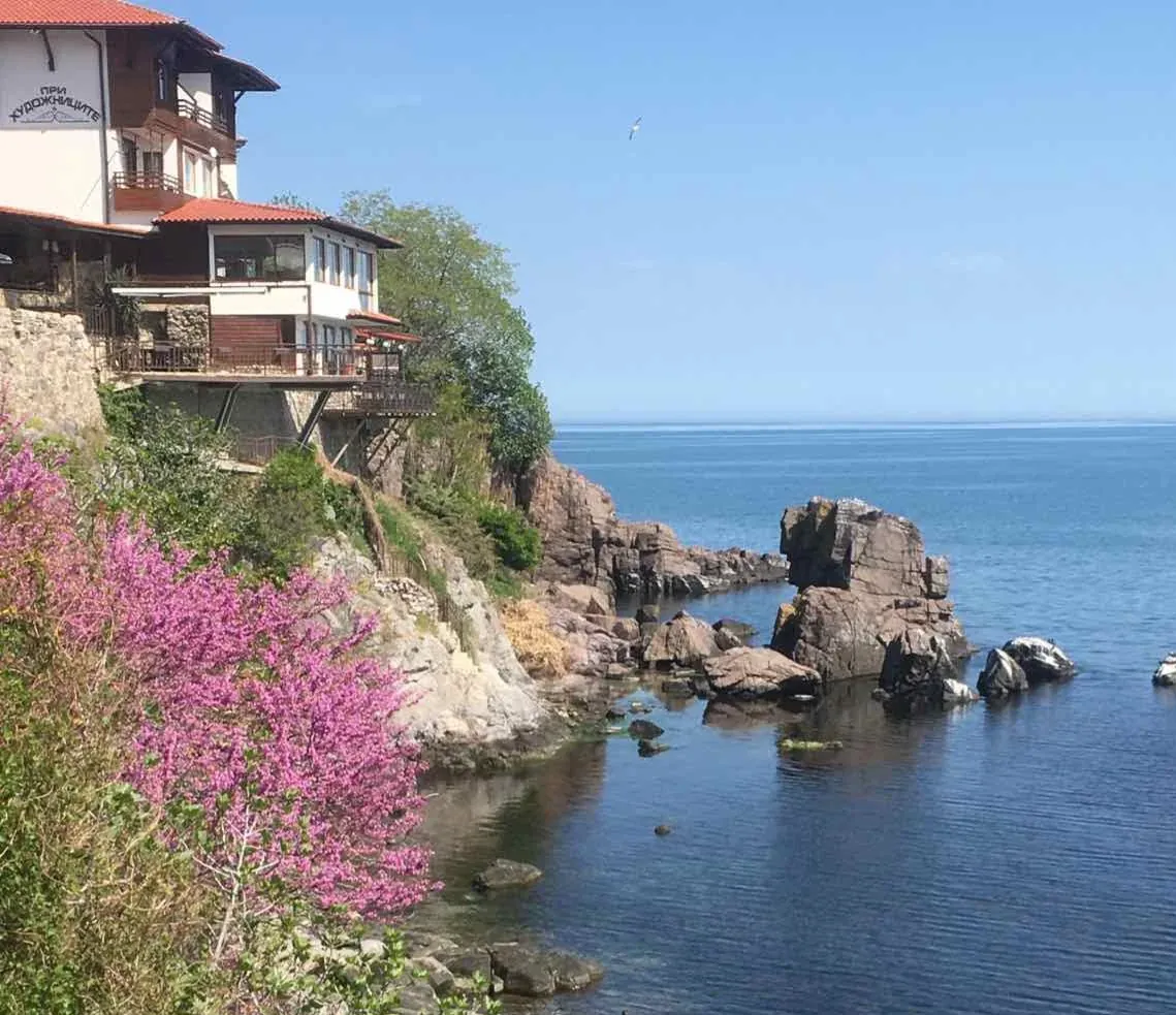 Cliffside Bloom