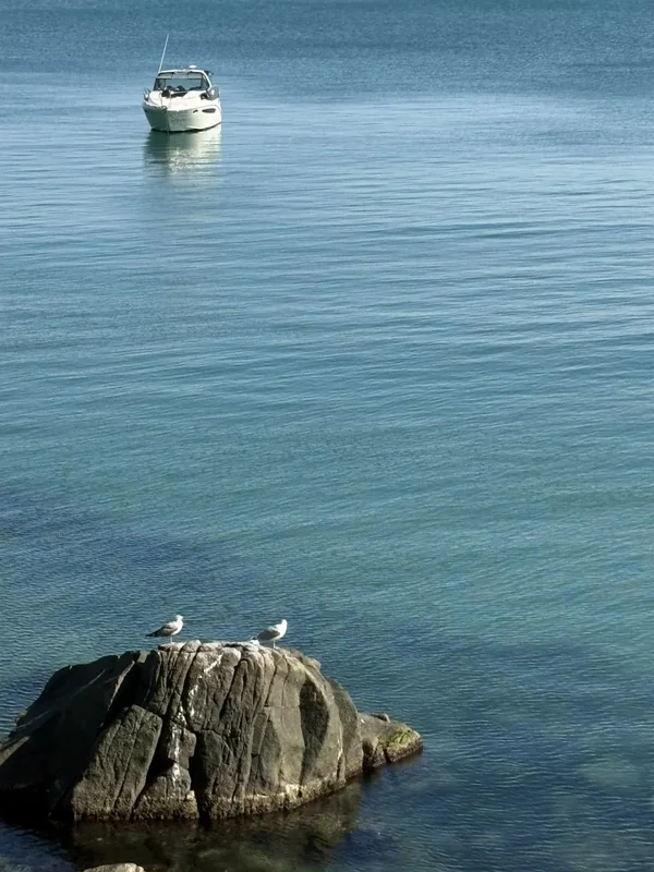 Between Stillness and Drift